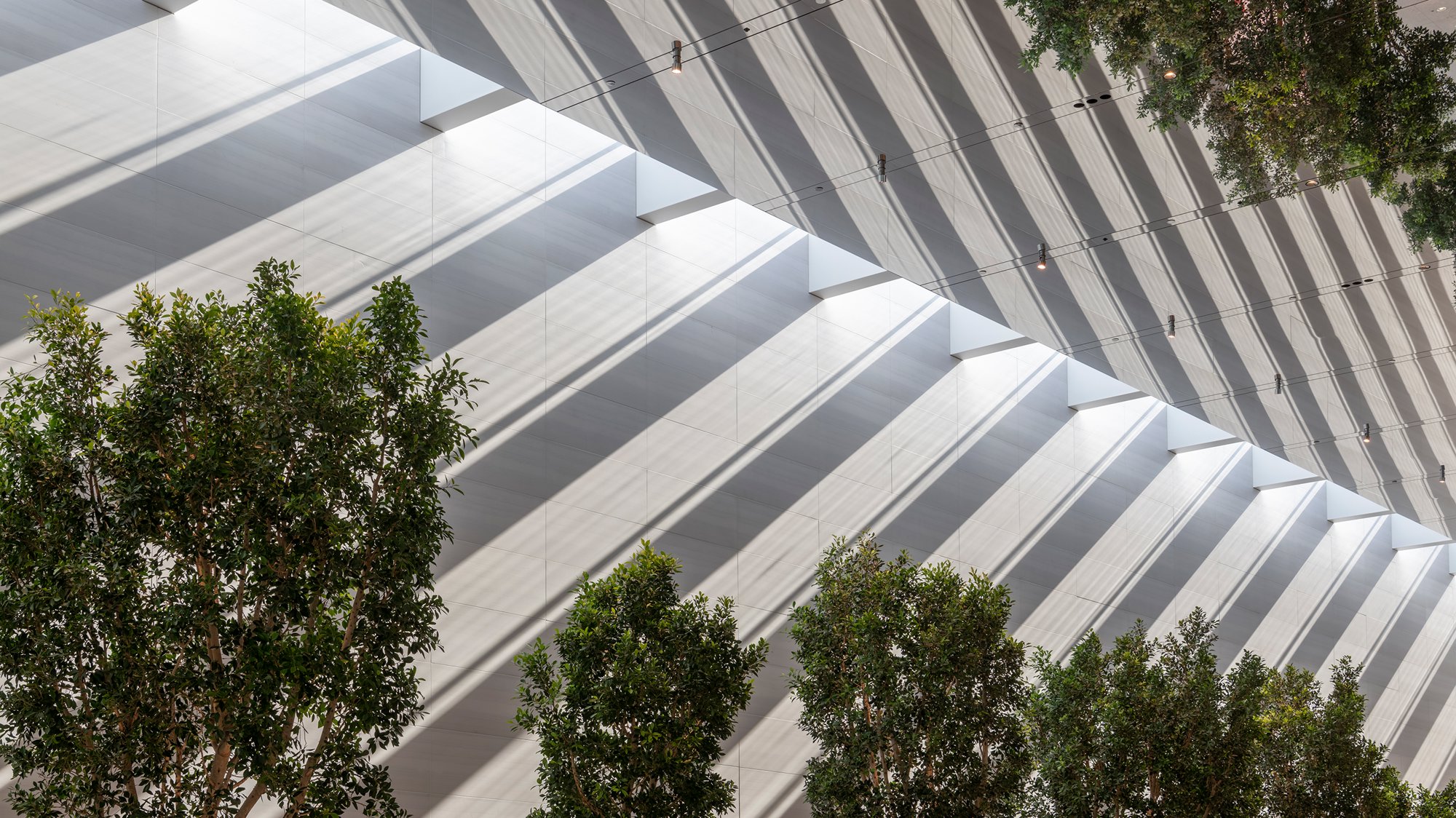 Apple At The Grove – A Dynamic Hall Of Illusions That Captures The Vitality Of Los Angeles