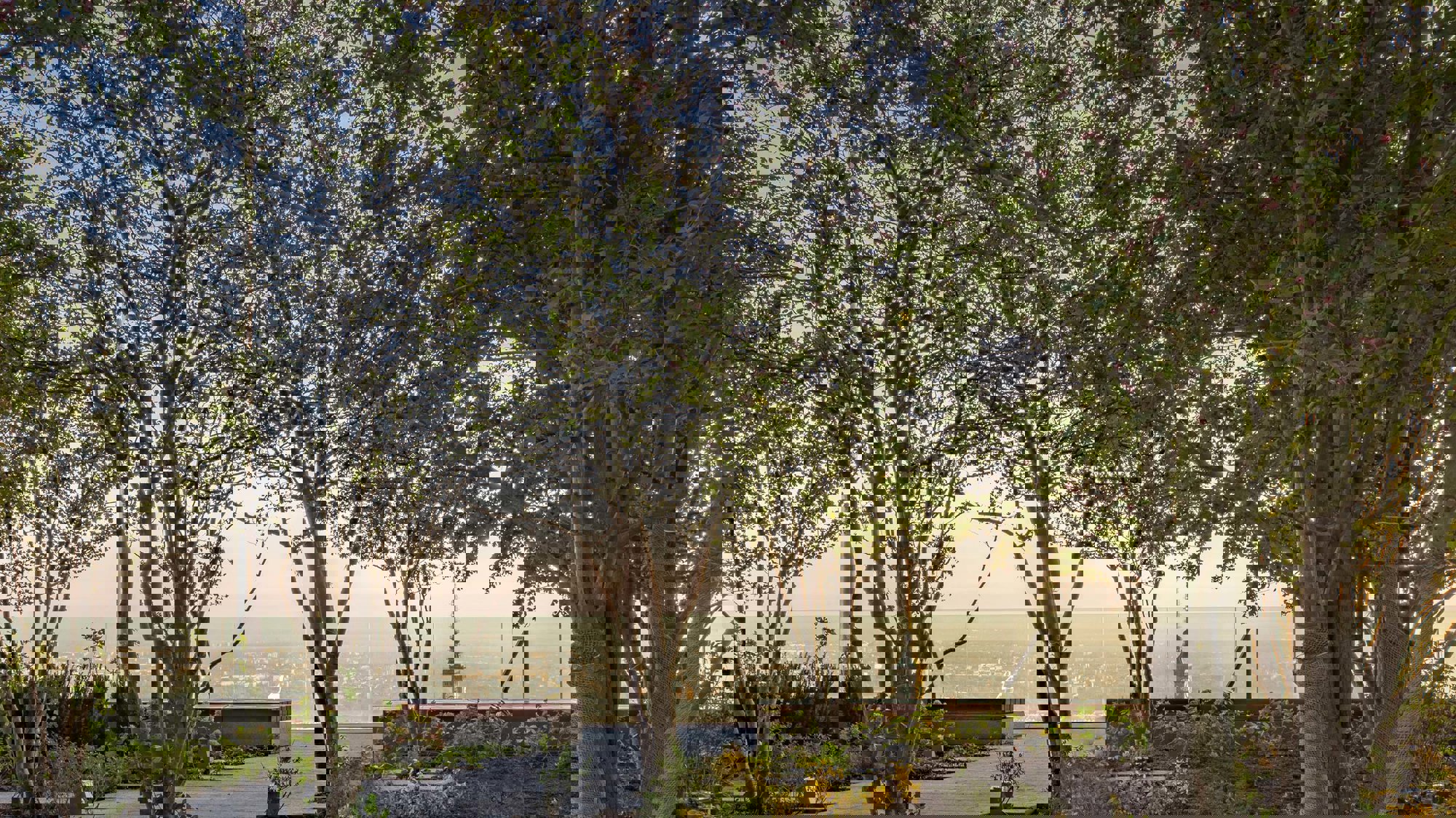 Foster + Partners Completes The Eu’s Tallest Building