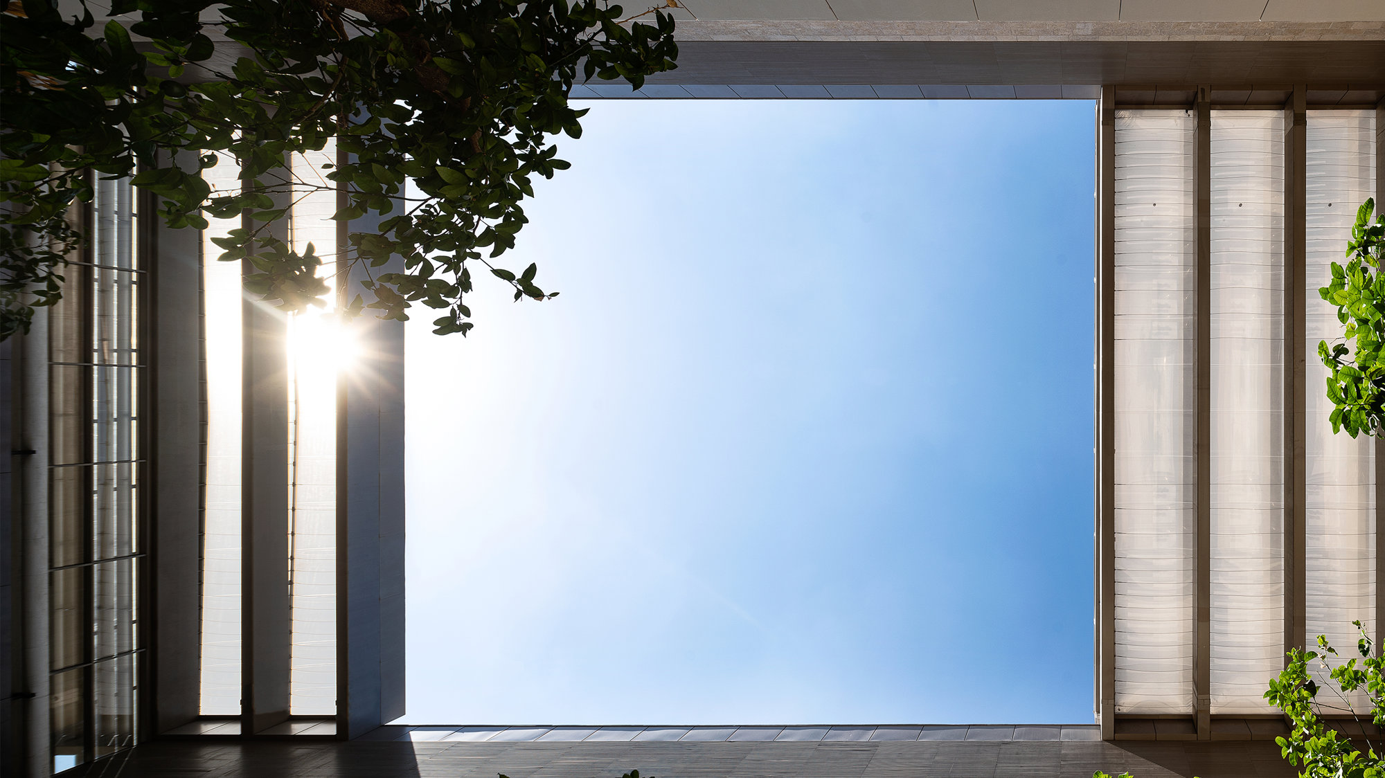 Inspired By Science – Edmond And Lily Safra Center For Brain Sciences In Jerusalem