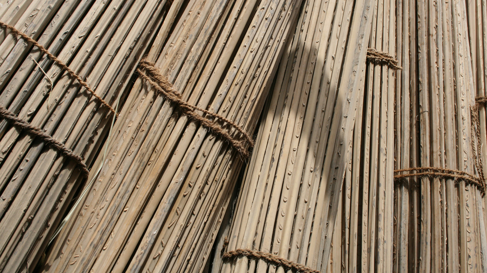 ‘The Generation Of Climate Knowledge’ - Panel Discussion At Anthropology, Weather And Climate Change Conference, London