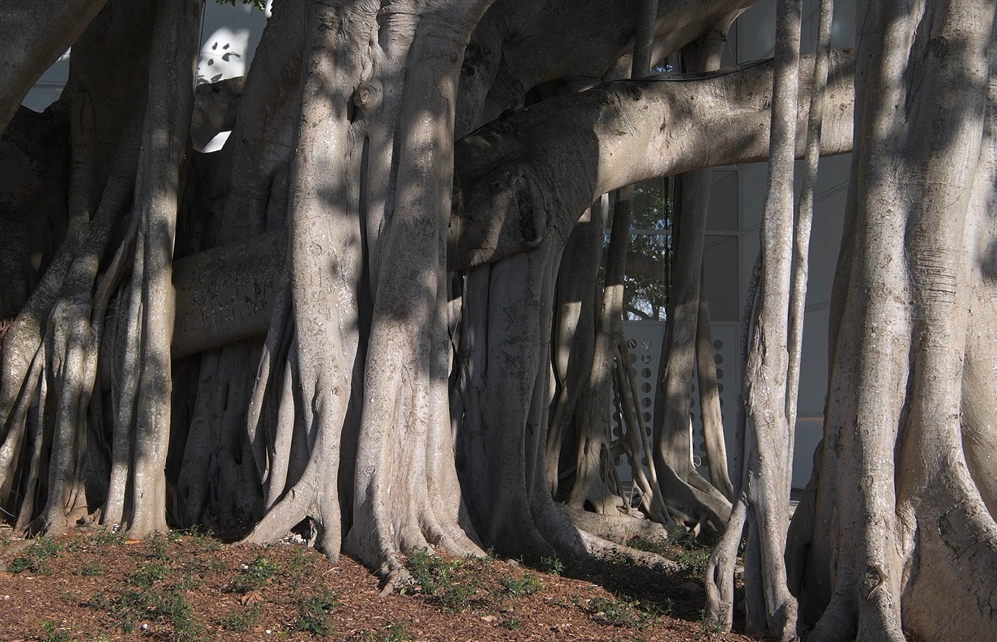 Norton Museum of Art