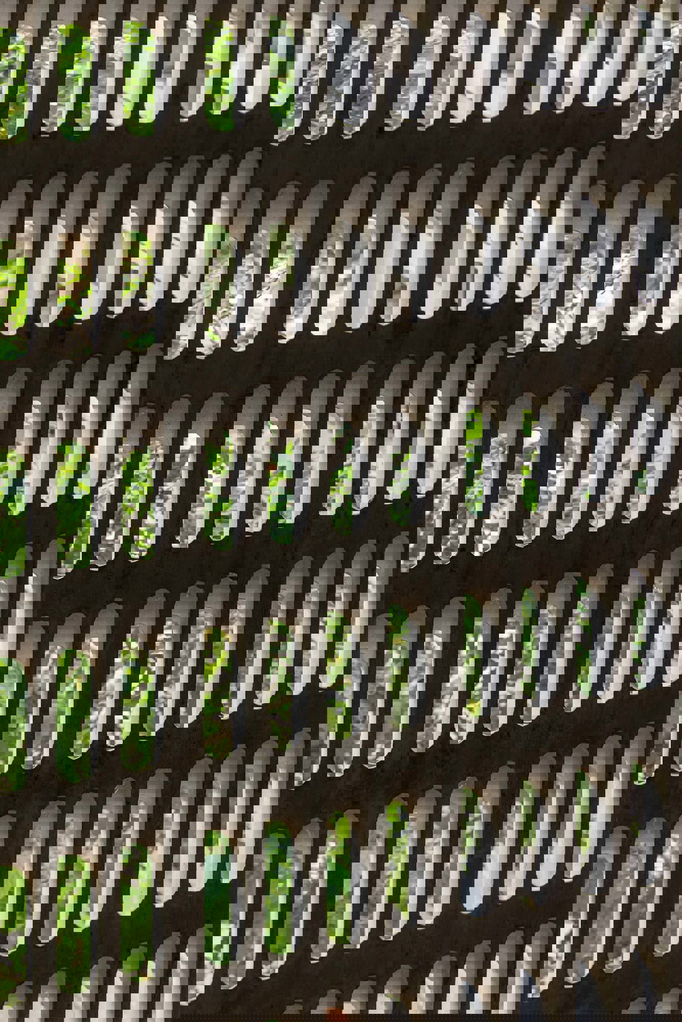 Stories Behind Buildings: Chris Bubb On The D.y. Patil University Centre Of Excellence In Navi Mumbai