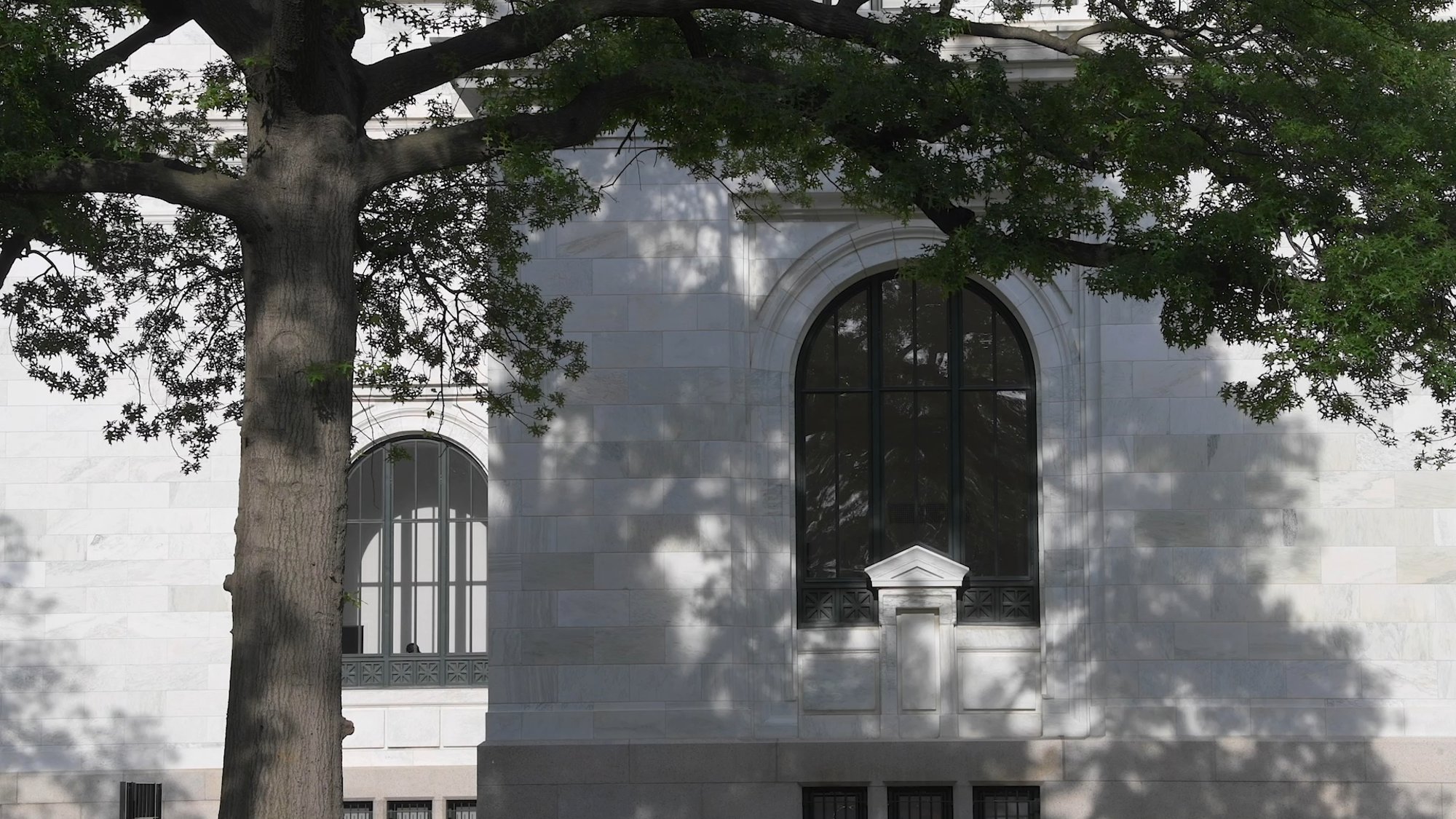 Apple Carnegie Library Breathes New Life Into A Much-loved City Icon