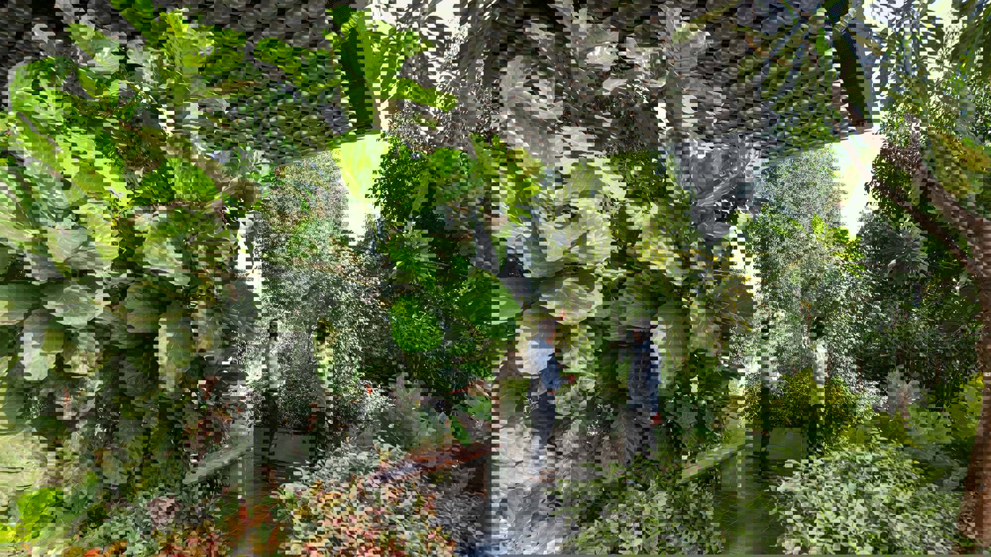 Stories Behind Buildings: Chris Bubb On The D.y. Patil University Centre Of Excellence In Navi Mumbai