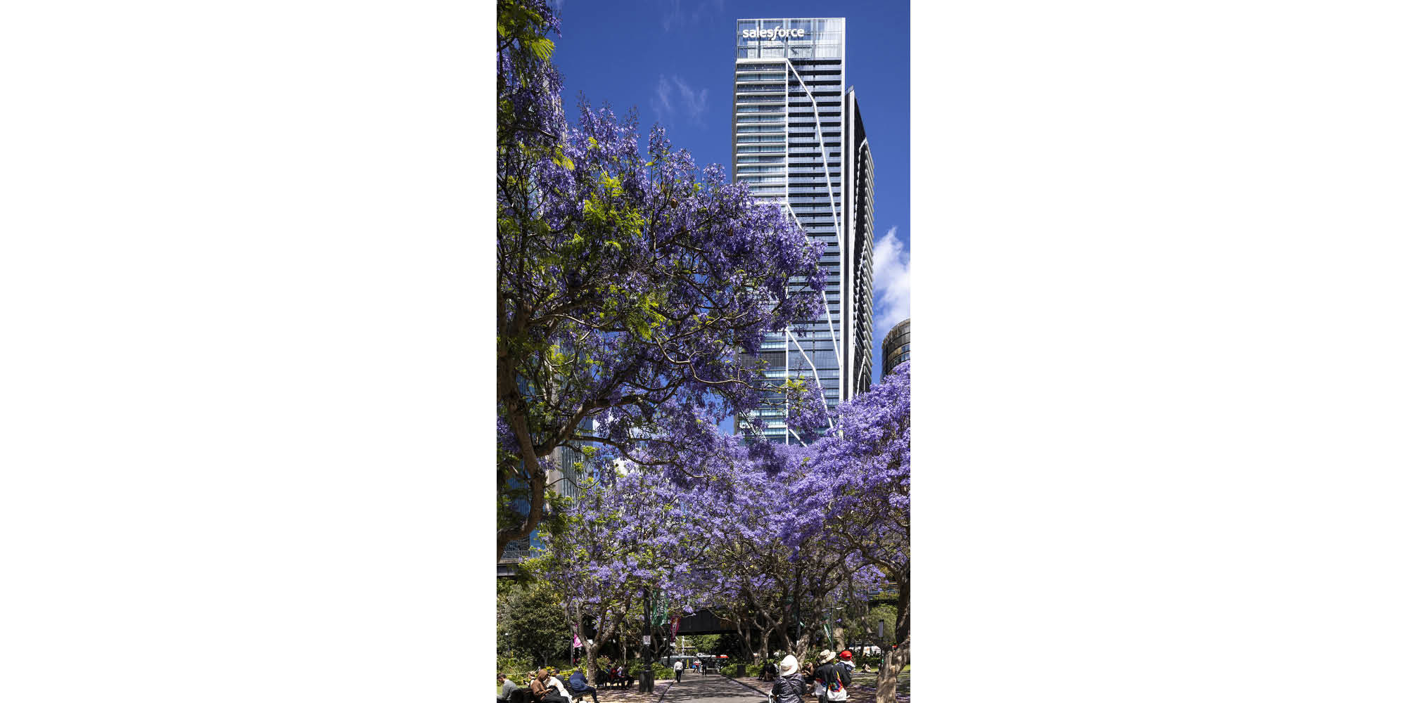 Salesforce Tower Wins International Property Award