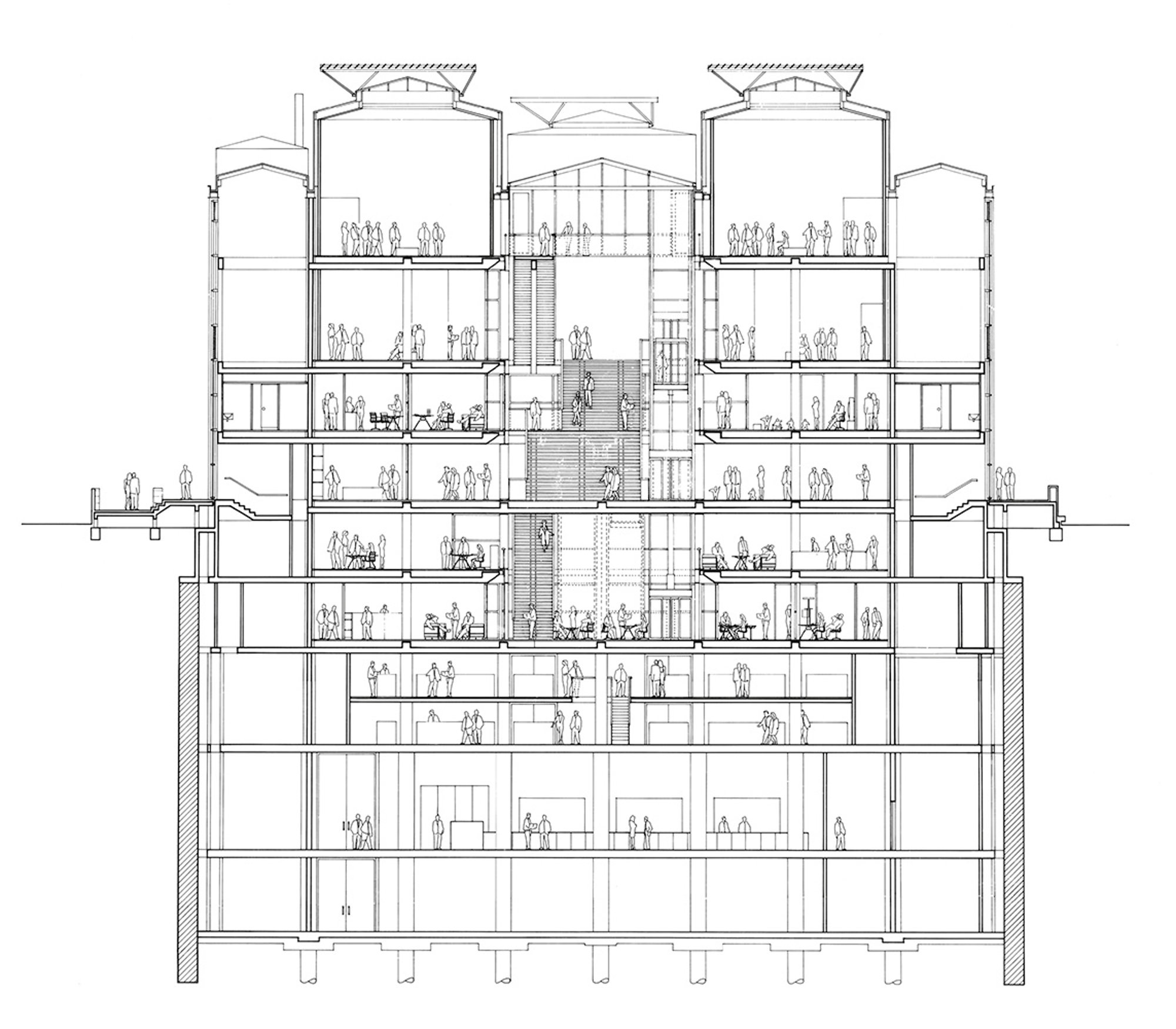 Architectures Of Knowledge: Designing The Library