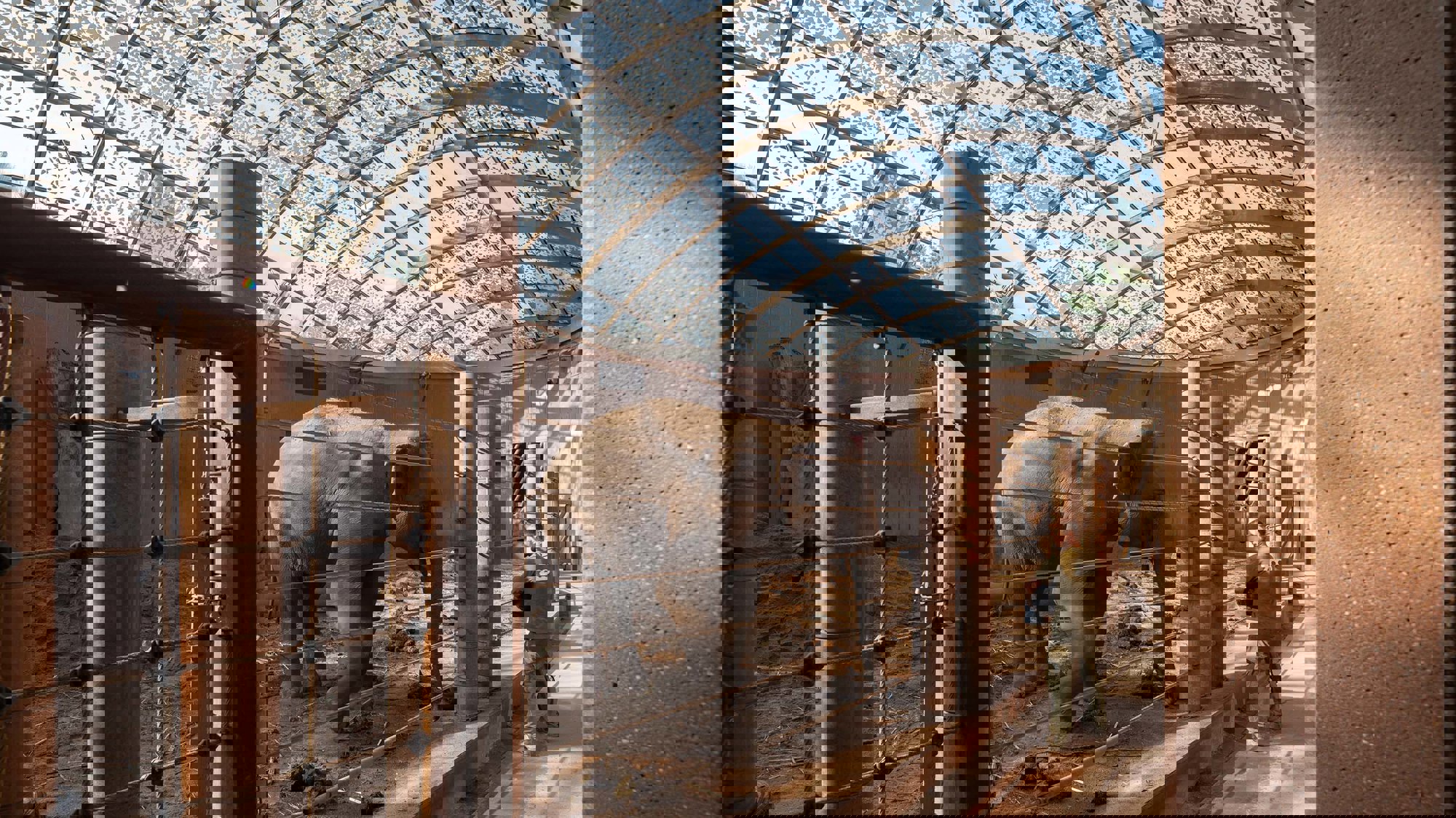 The Making Of… Elephant House, Copenhagen Zoo