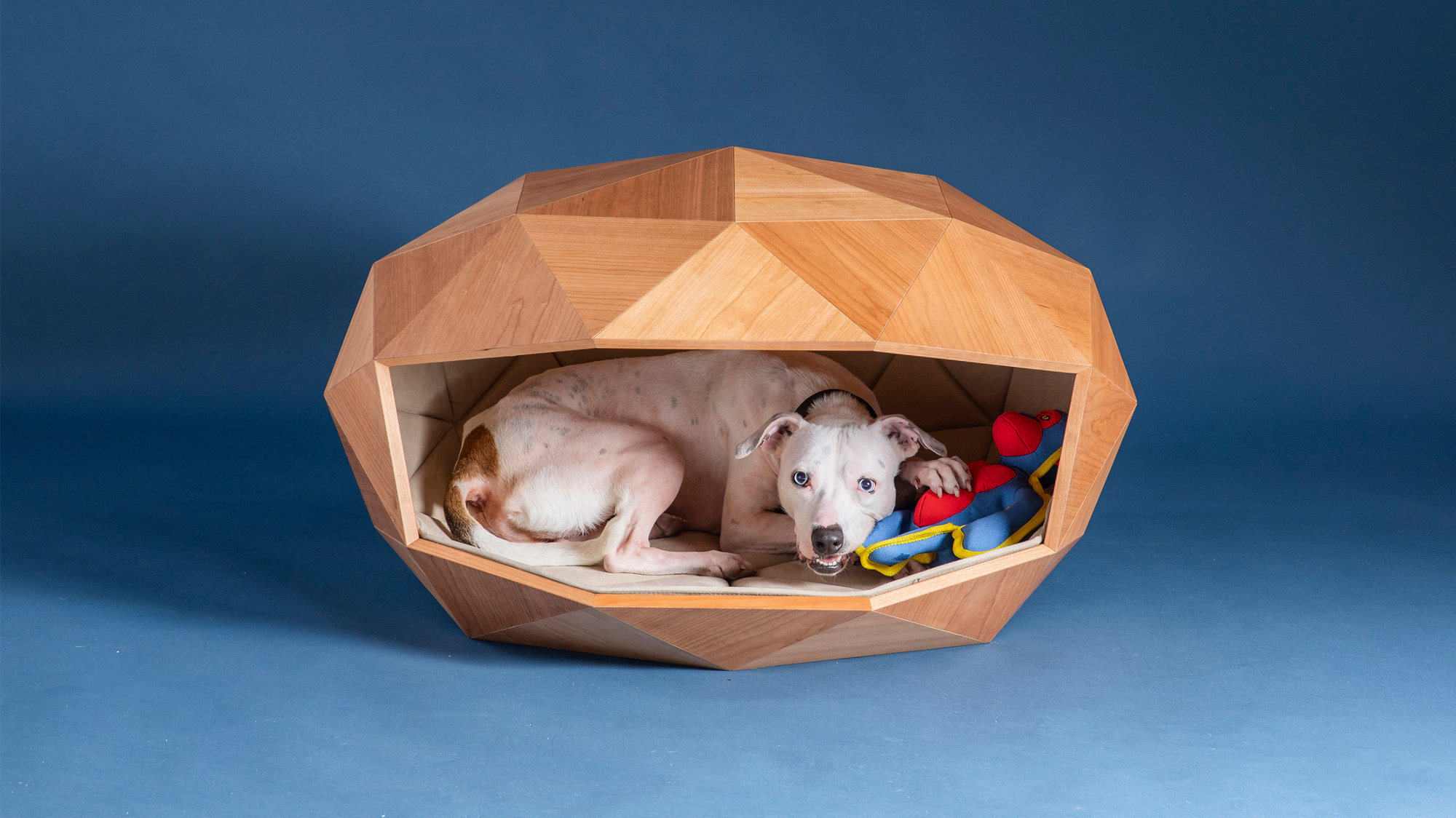 Foster + Partners Designs Dome-home Dog Kennel For Goodwood
