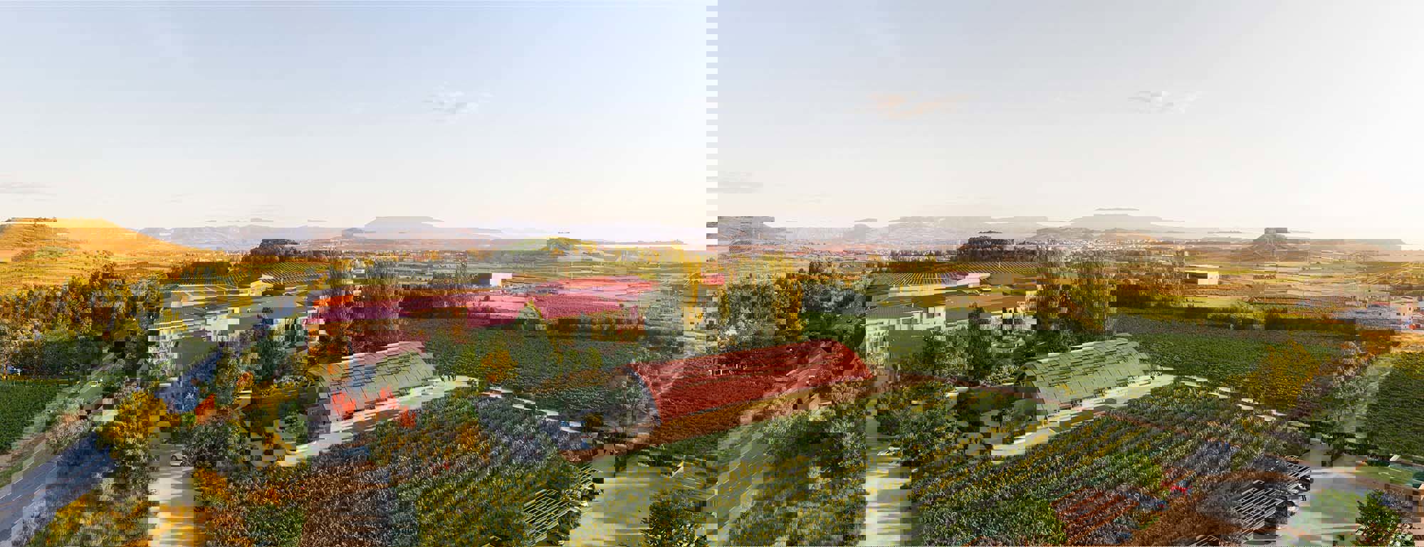 Designs For Bodegas Faustino Revealed