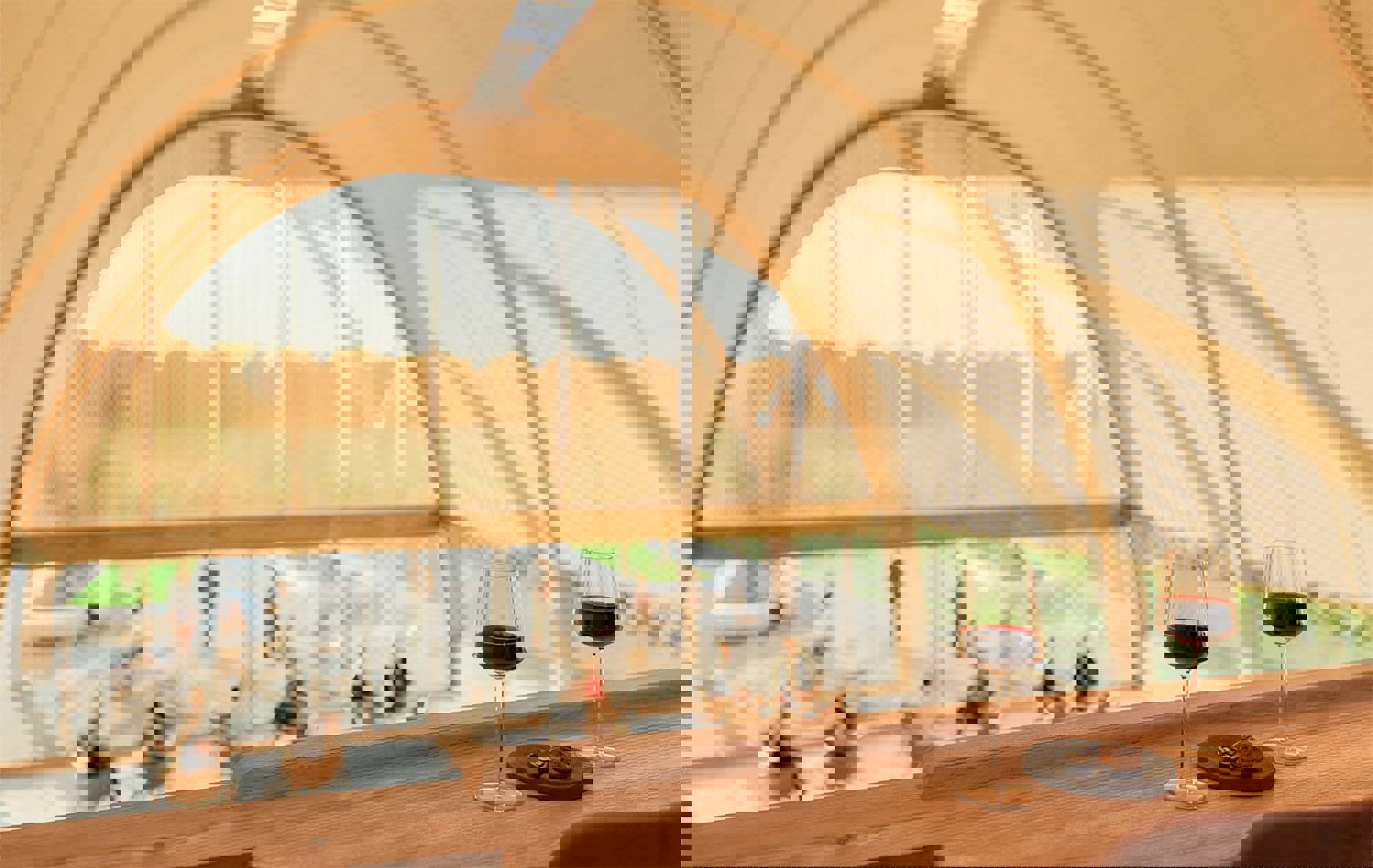 Designs For Bodegas Faustino Revealed