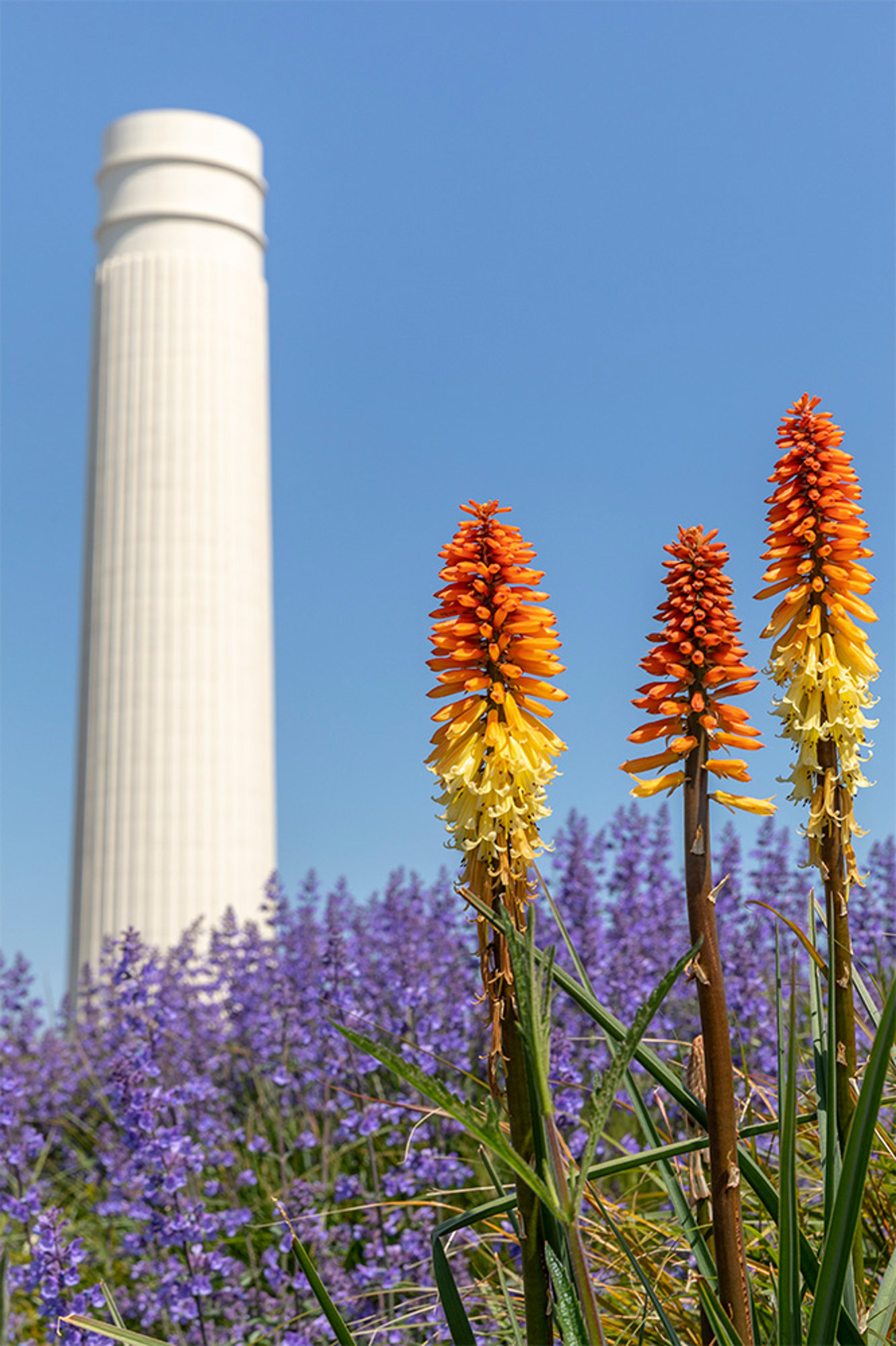 Rooftop Gardens In Bloom At Battersea Power Station