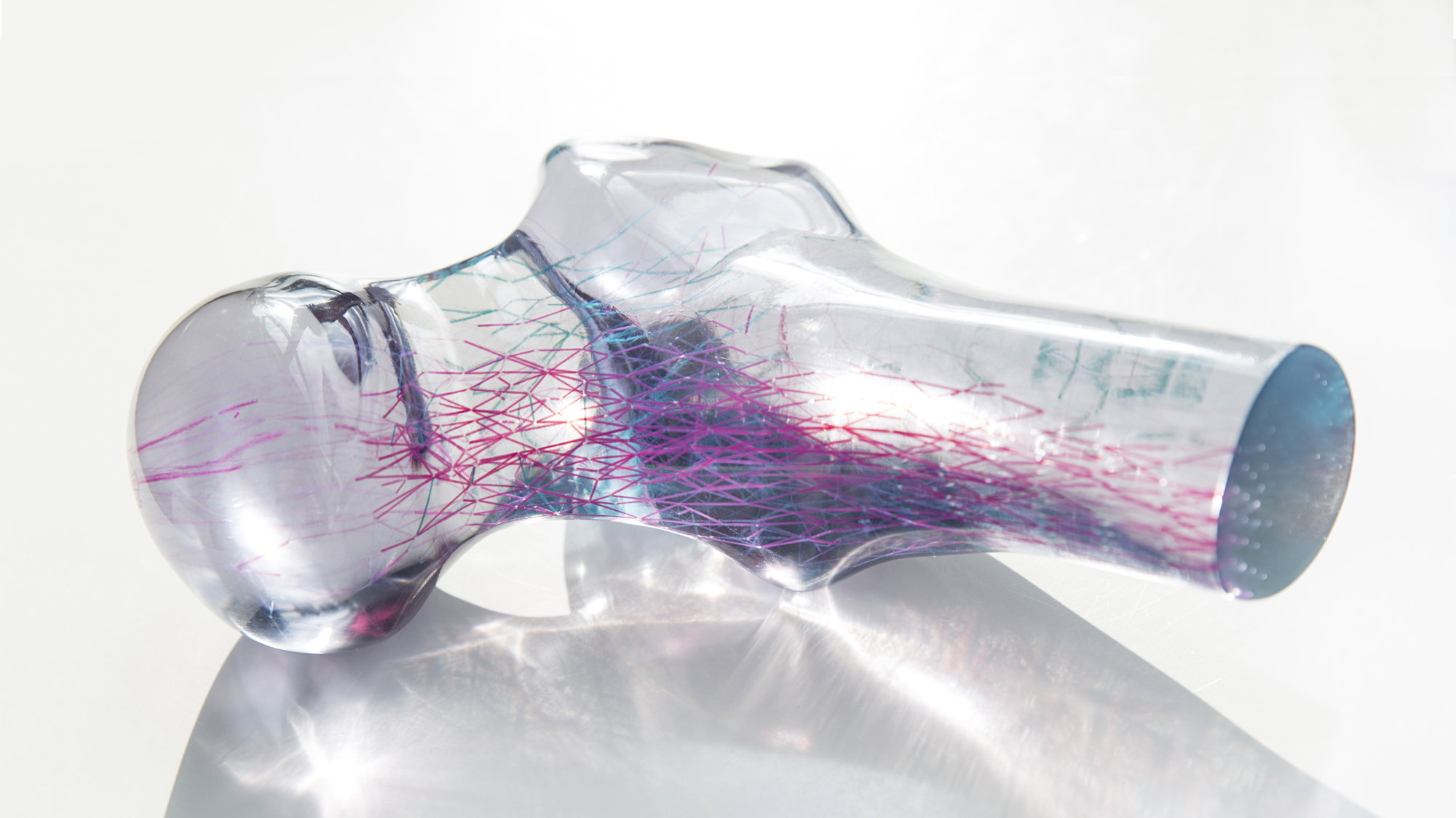 Foster + Partners Provides Support For Interdisciplinary Research Into The Structure Of Bones