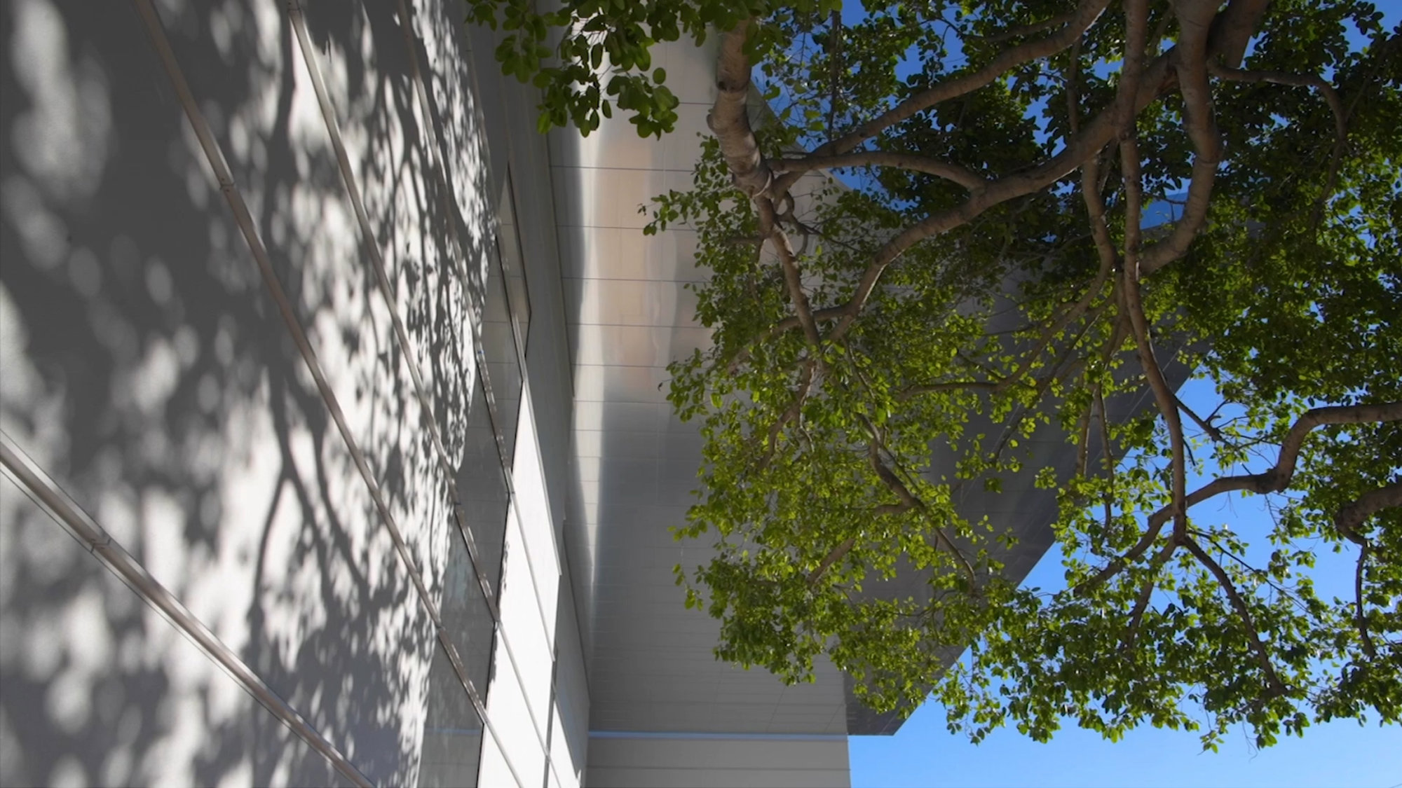 Norton Museum Of Art Transformed