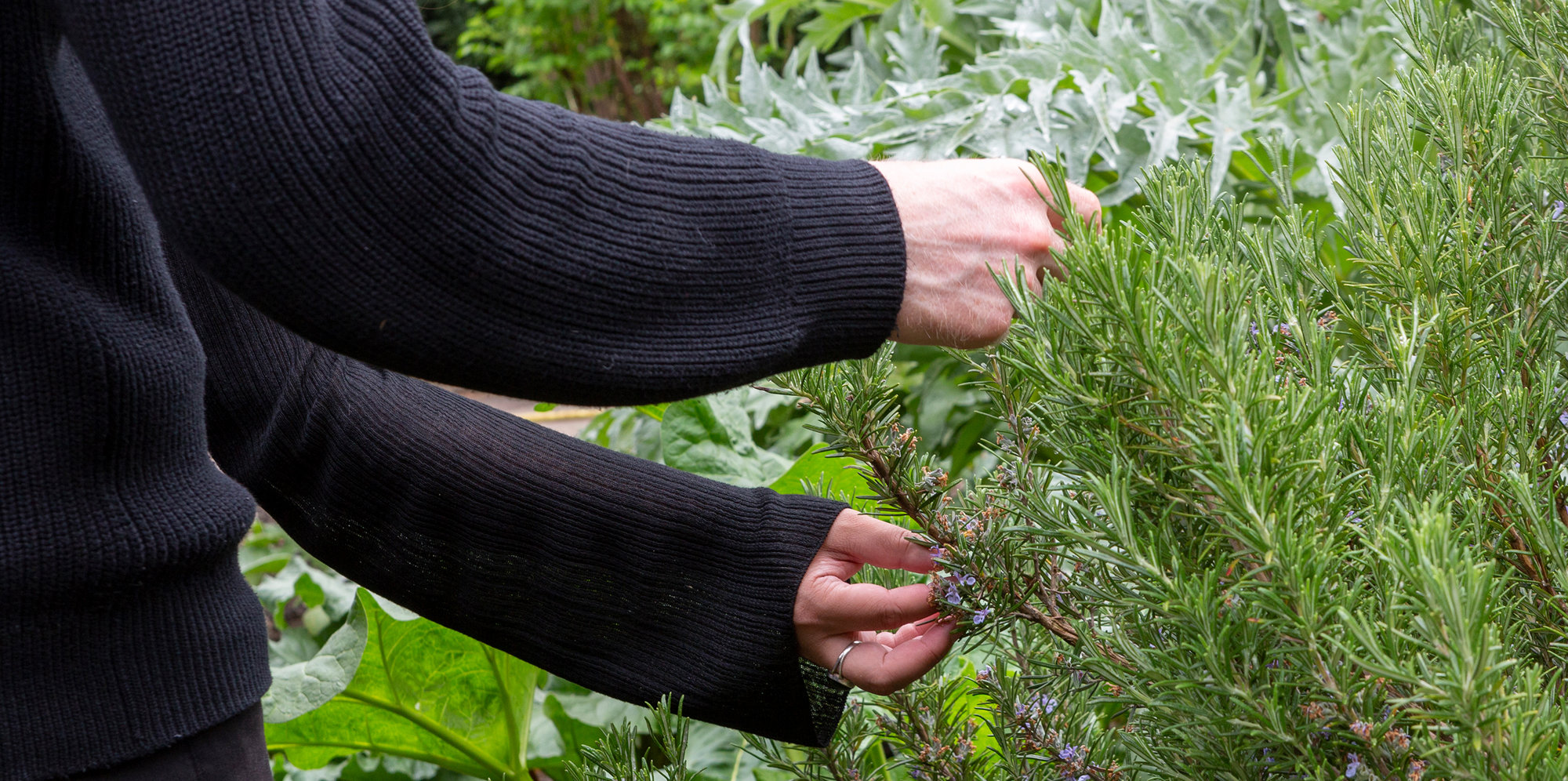 Foster + Partners In Partnership With Thrive