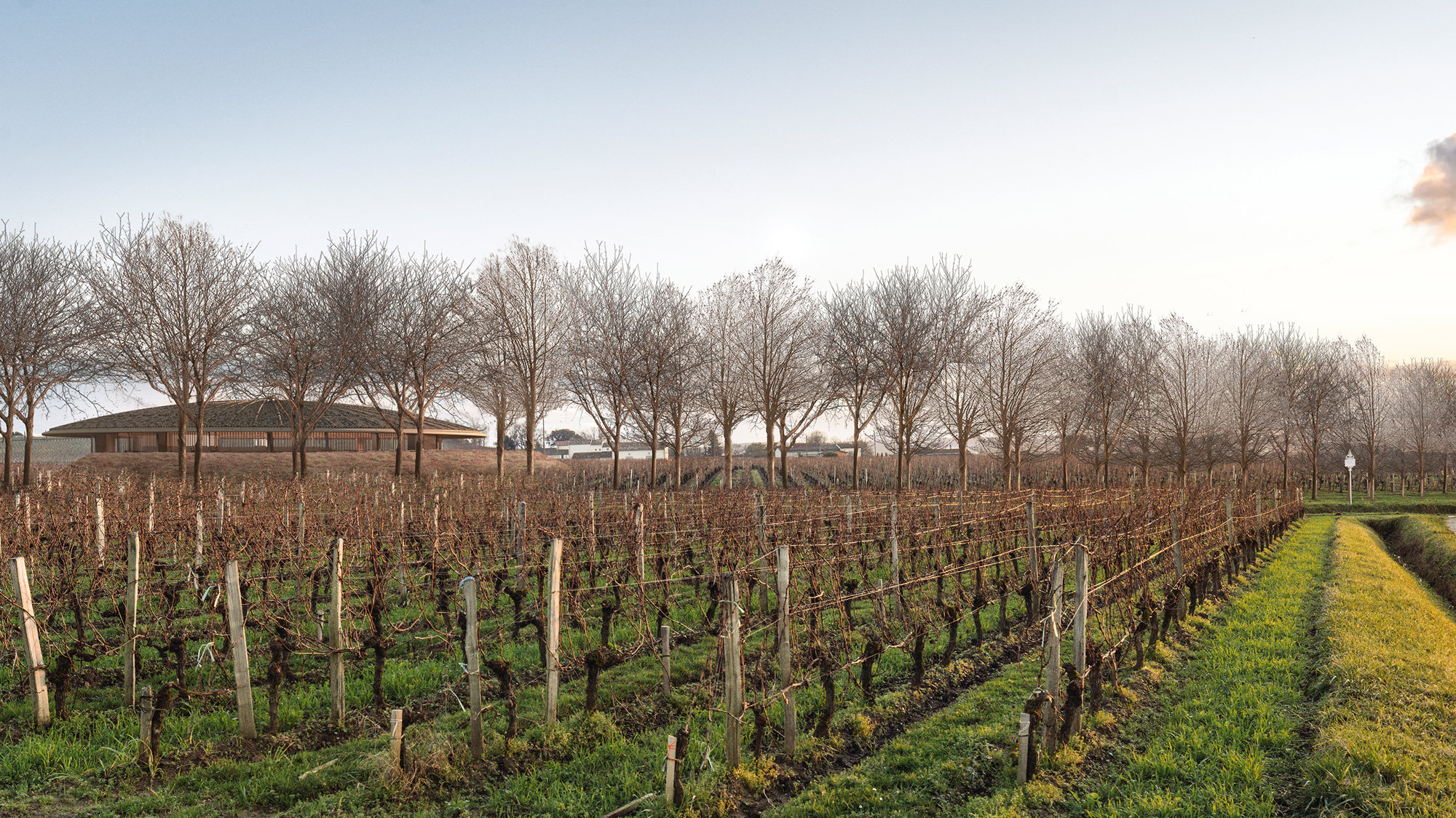 Foster + Partners Reveals Its Vision For The Le Dôme Winery In Saint-émilion