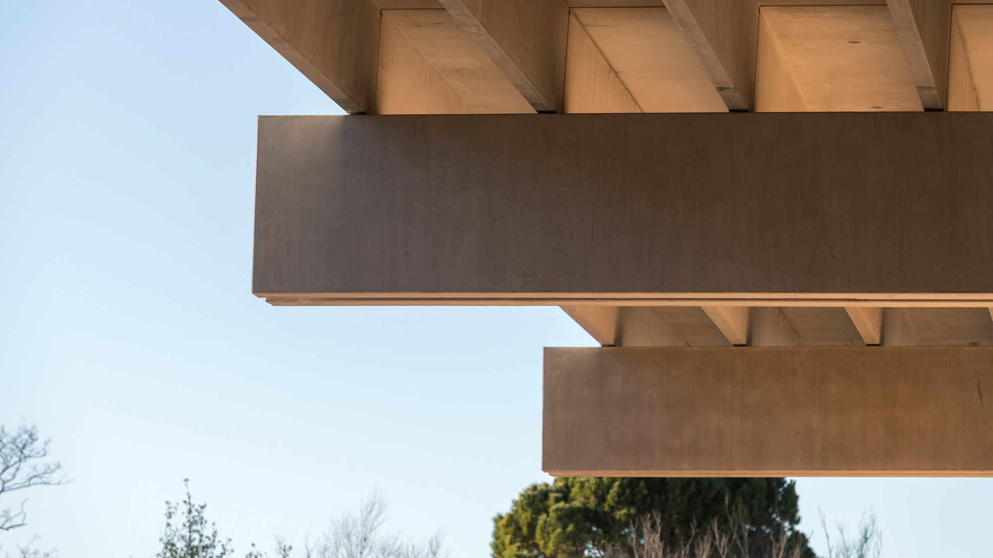 Narbonne’s Museum Of Antiquities Tops Out