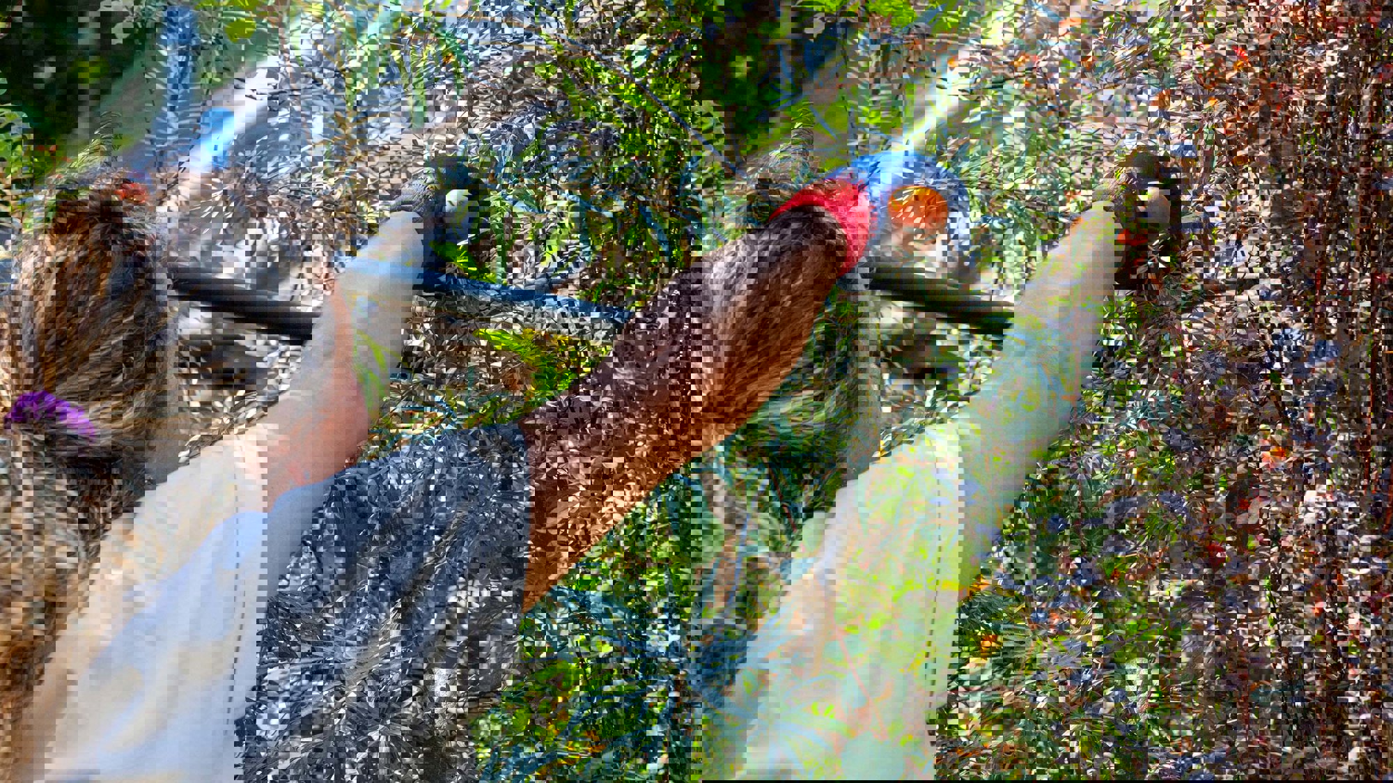 Foster + Partners In Partnership With Thrive