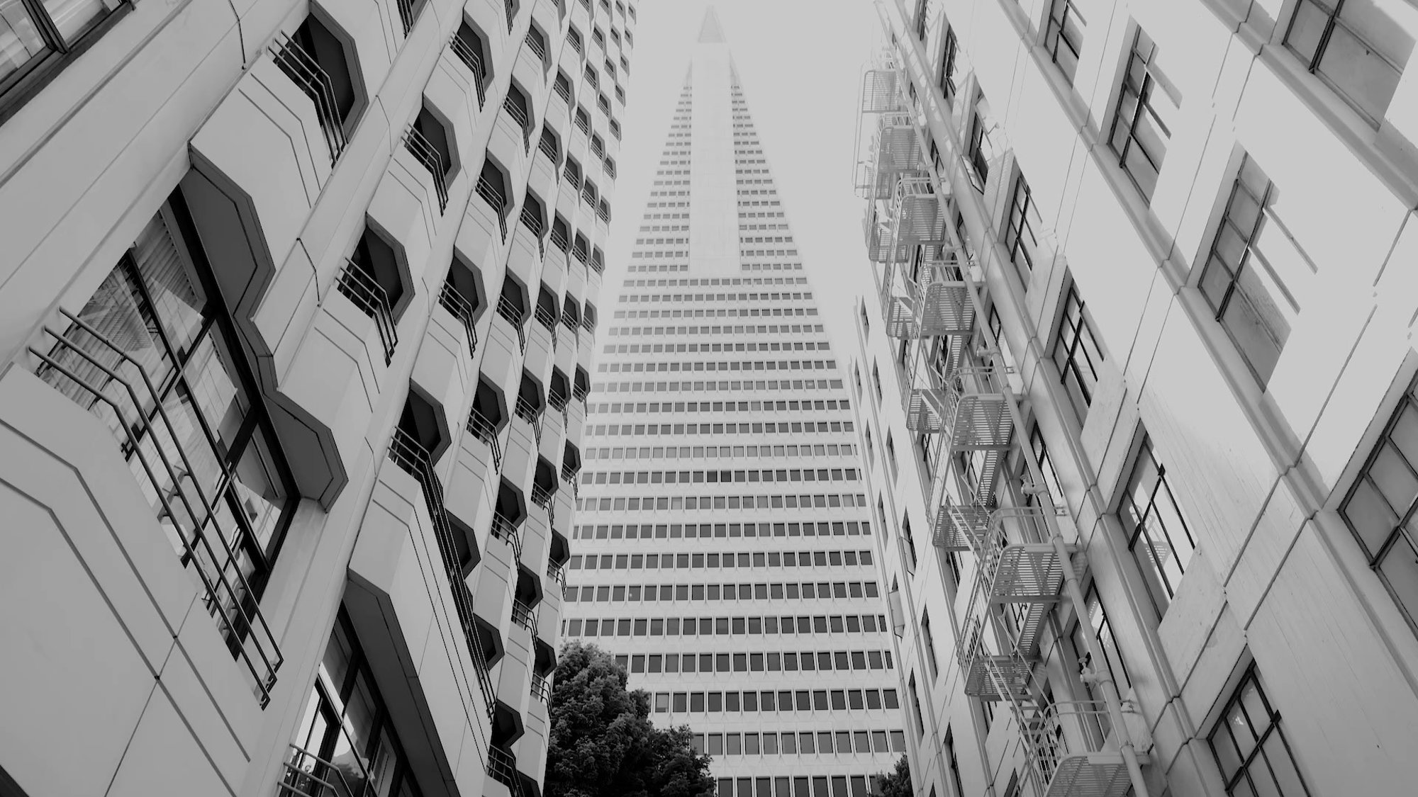 Lord Foster and SHVO at Transamerica