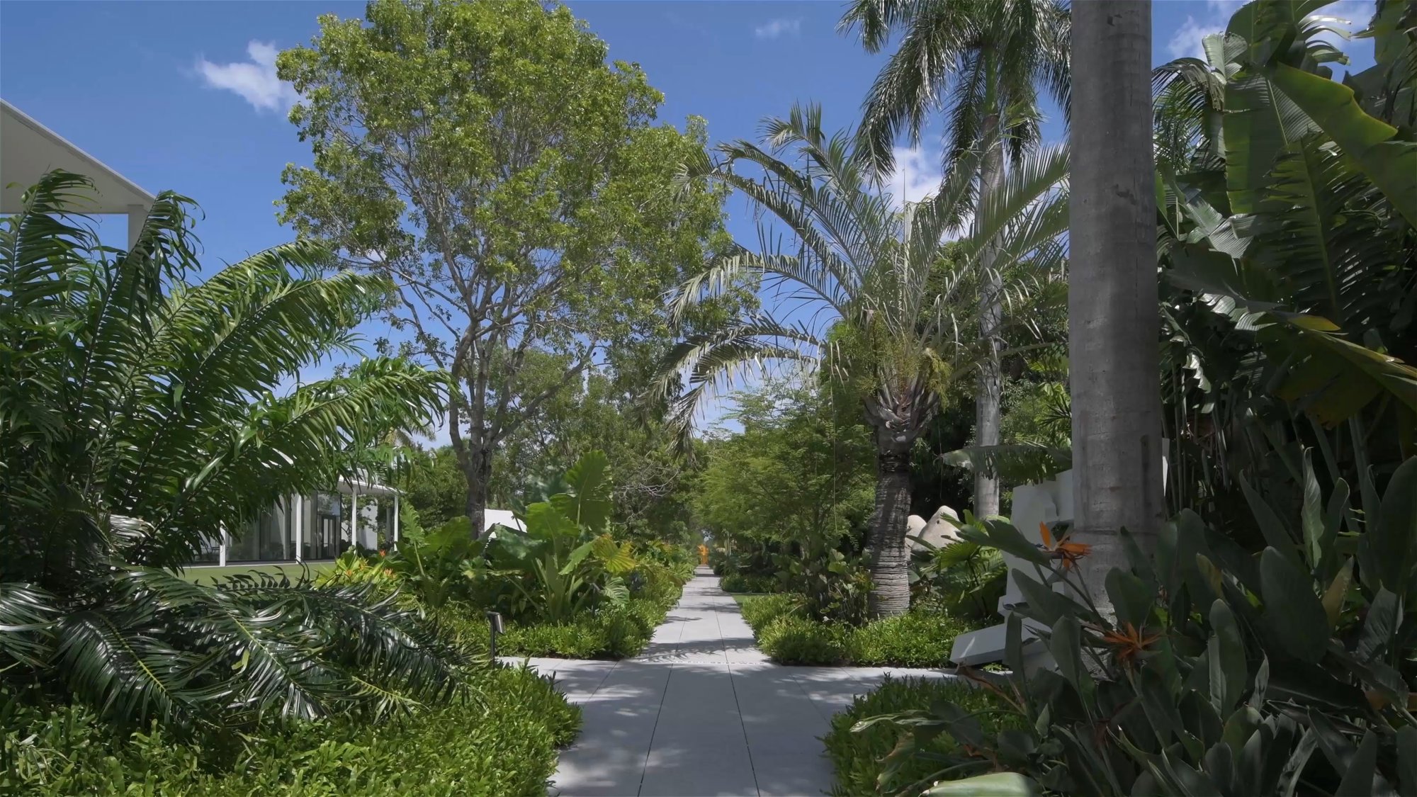 Cop25: Foster + Partners Launches Its Sustainability Manifesto