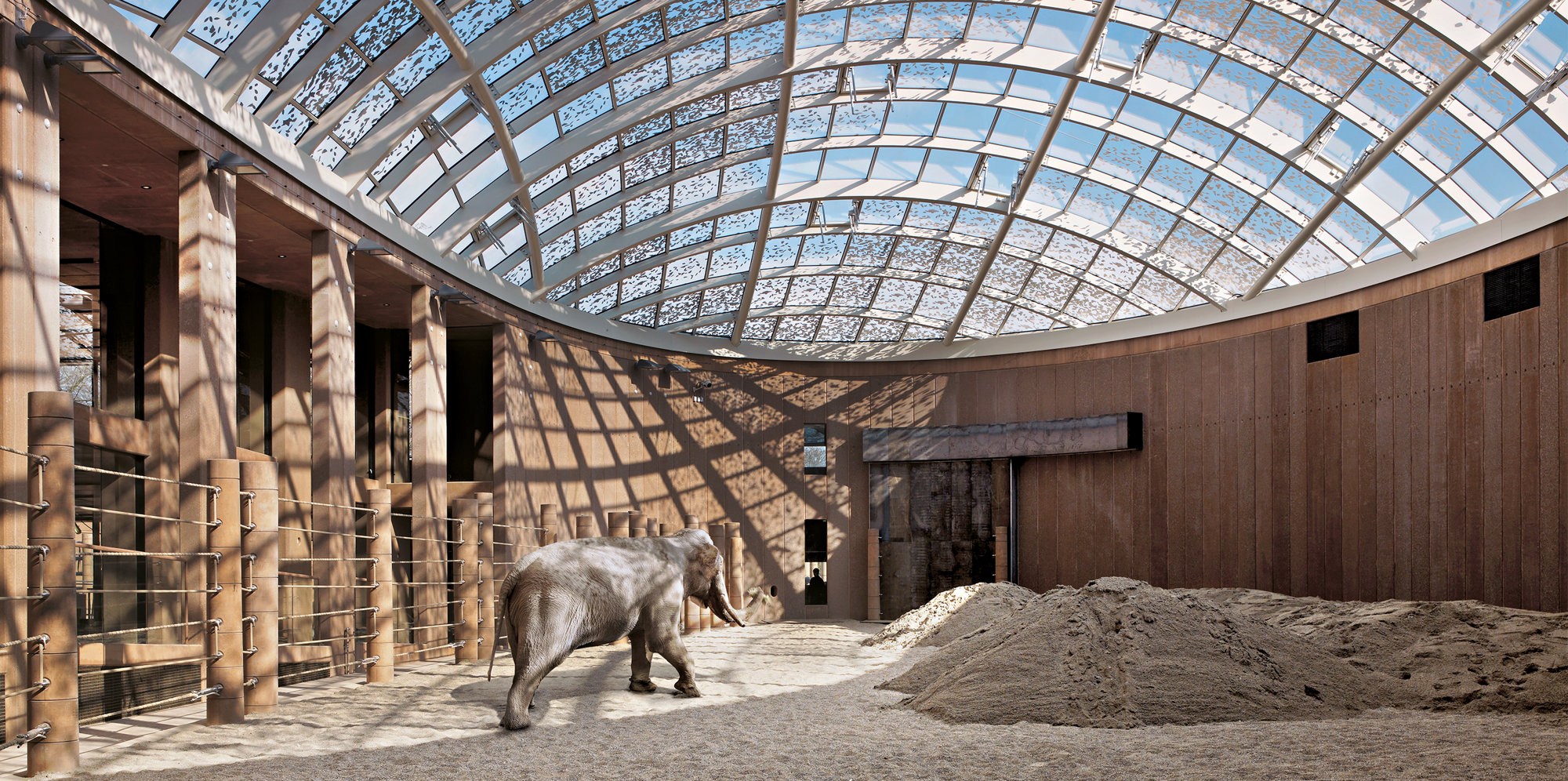 The Making Of… Elephant House, Copenhagen Zoo