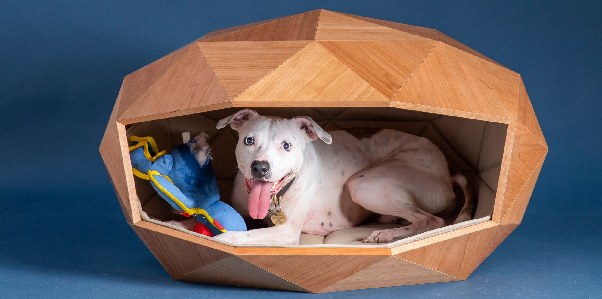 Foster + Partners Designs Dome-home Dog Kennel For Goodwood