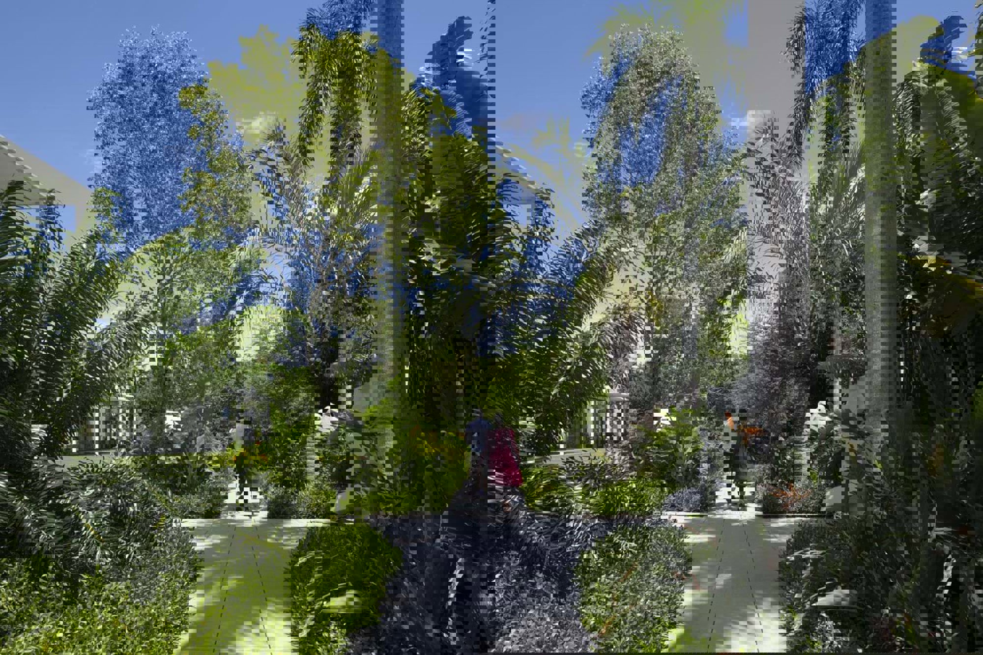 Landscape Architecture