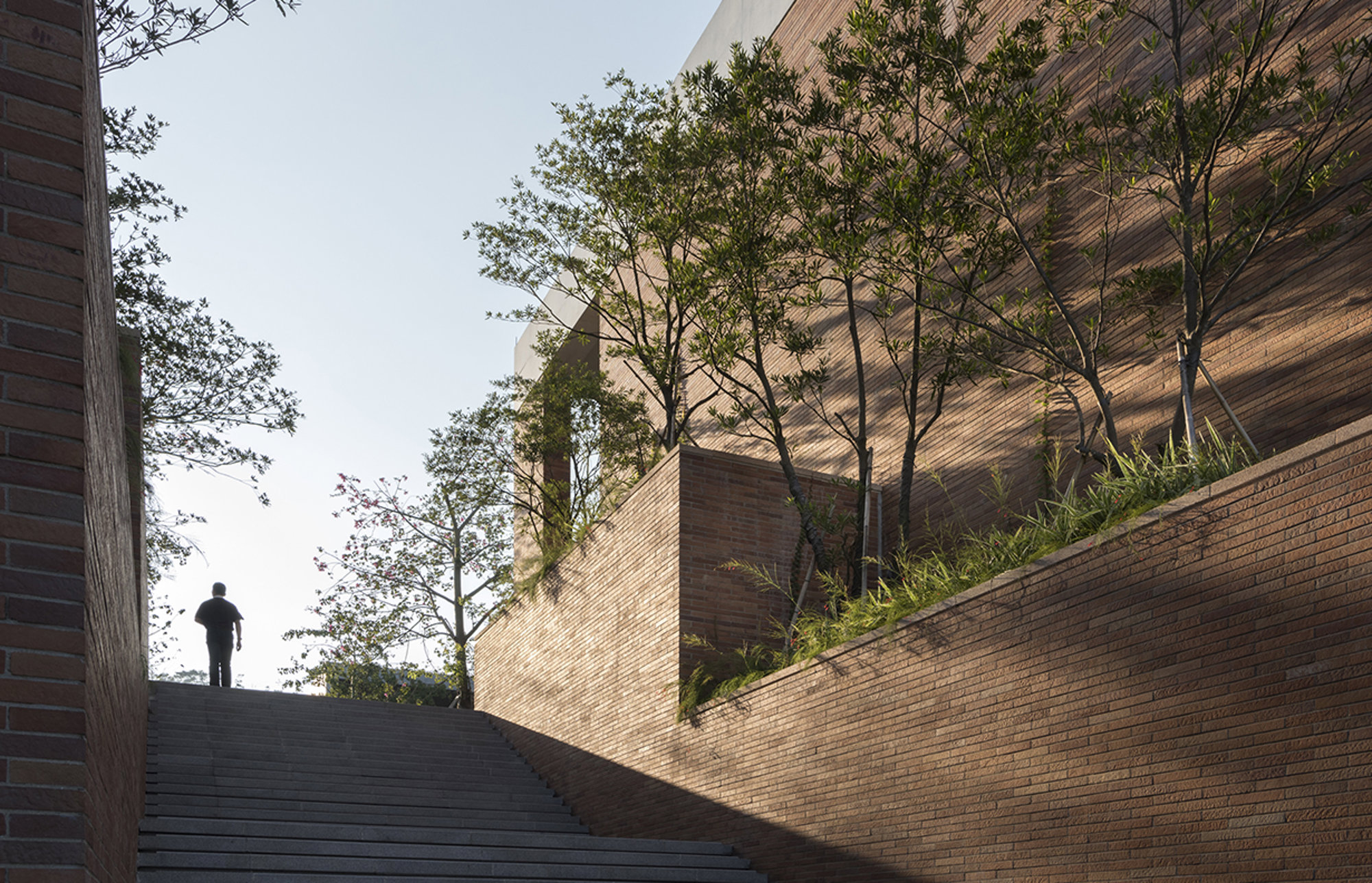 Xiao Jing Wang University