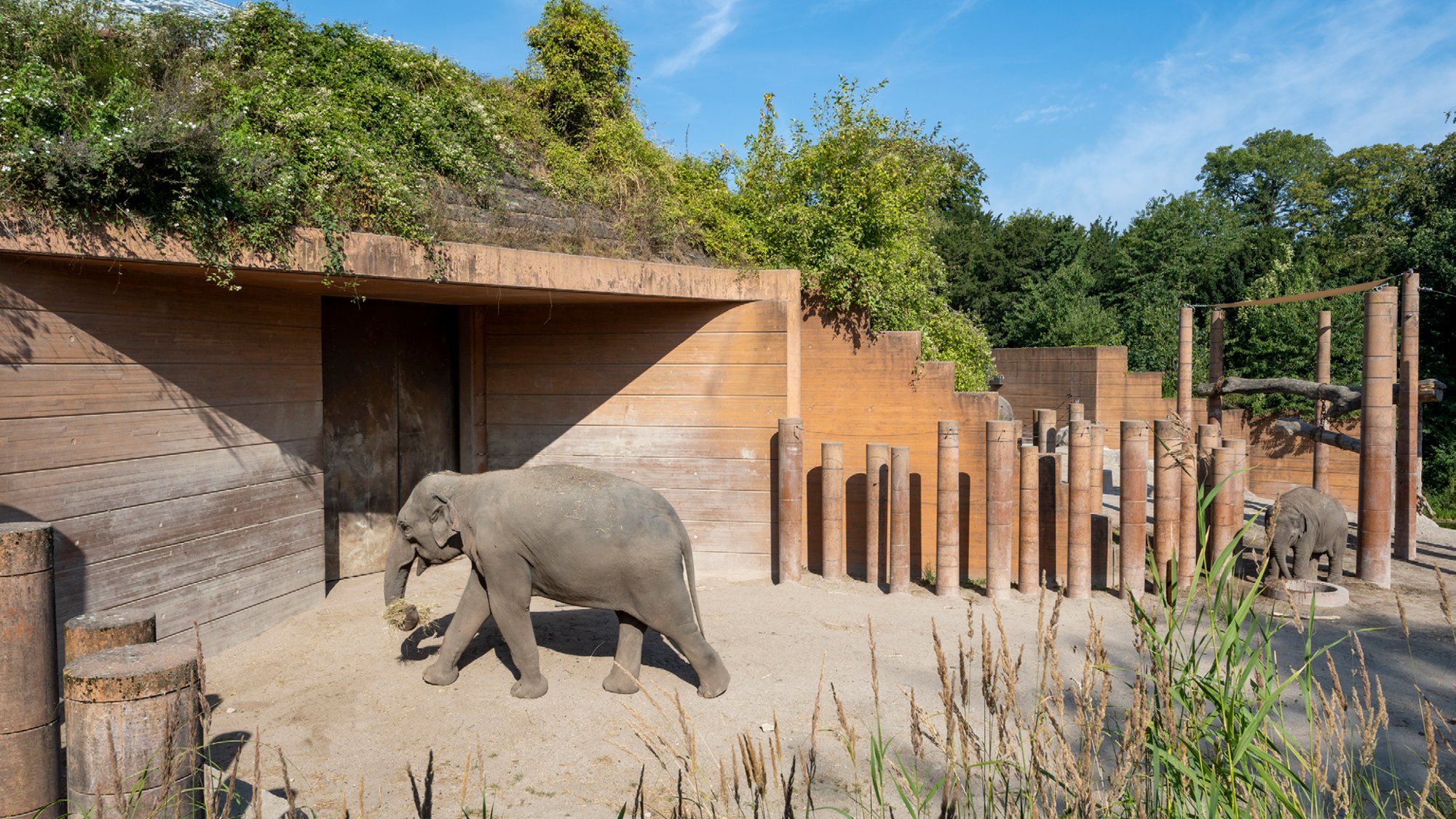 Elephant House, Copenhagen Zoo